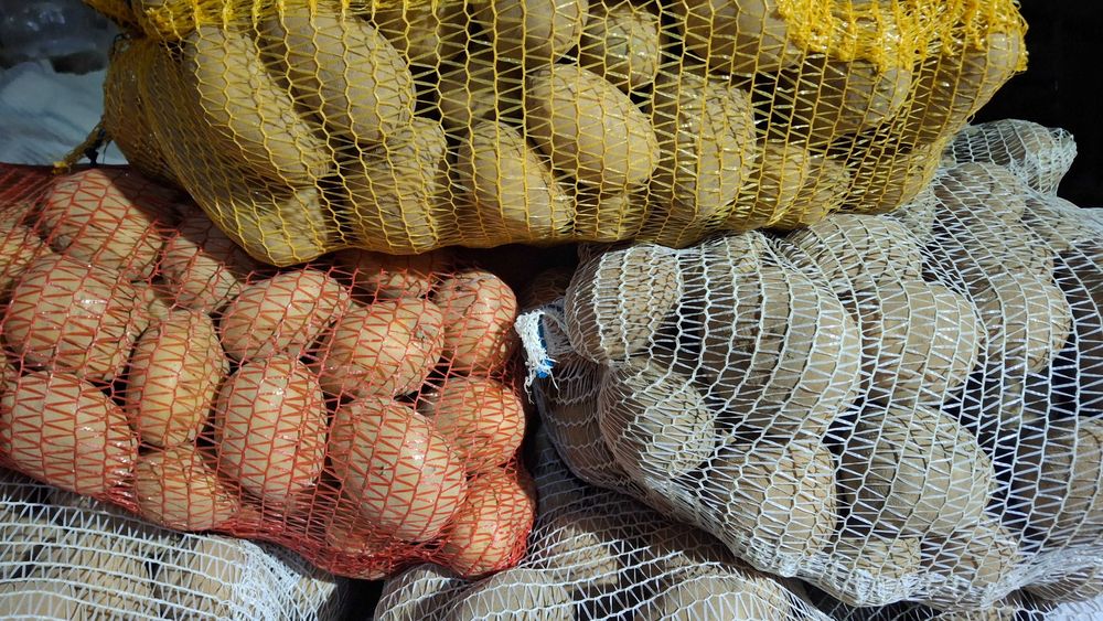 Ziemniaki Vineta - żółte worek 15 kg