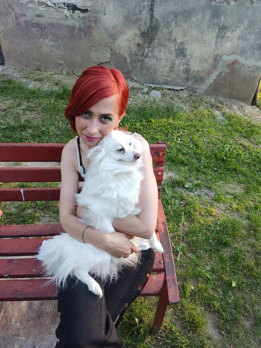 Немецкий шпиц девочка