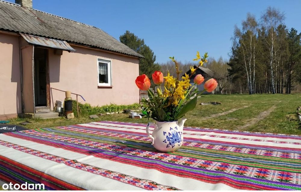 Dom na sprzedaż, Trzciniec