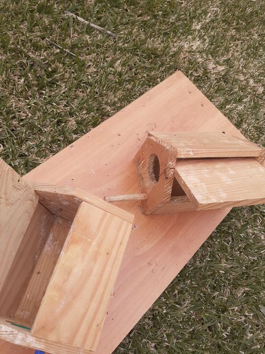 Ninhos para exóticos em bom estado