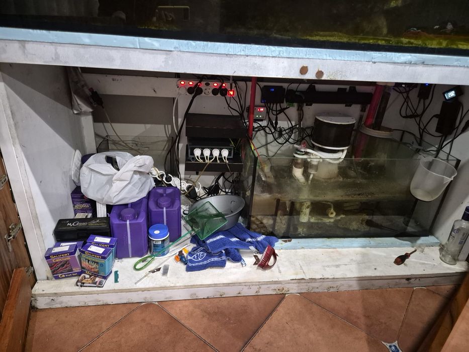 Aquario água salgada