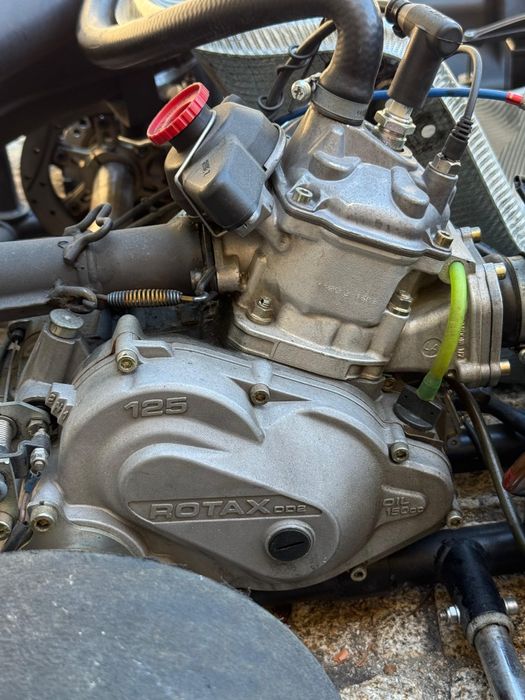 Rotax Intrepid DD2 Kart + Trailer for 2 Karts64729669953793124