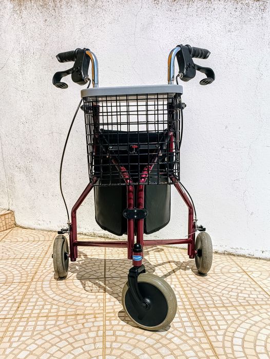 Andarilho Invacare Delta