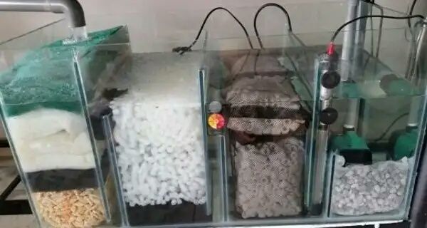 Фильтр для аквариума. САМП. Внешний фильтр.