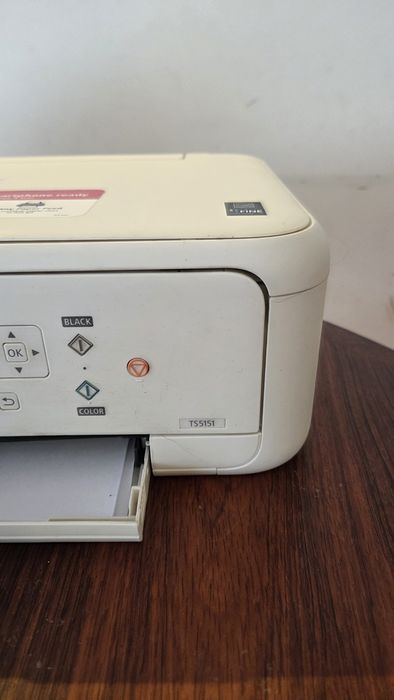 Impresdora Canon TS5151