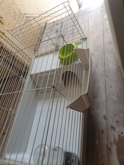 Gaiola para pequenos animais