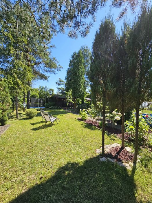 Dzialka R O D ,, przyjaźń,,400 m² zadbana z domkiem. - Widok 3