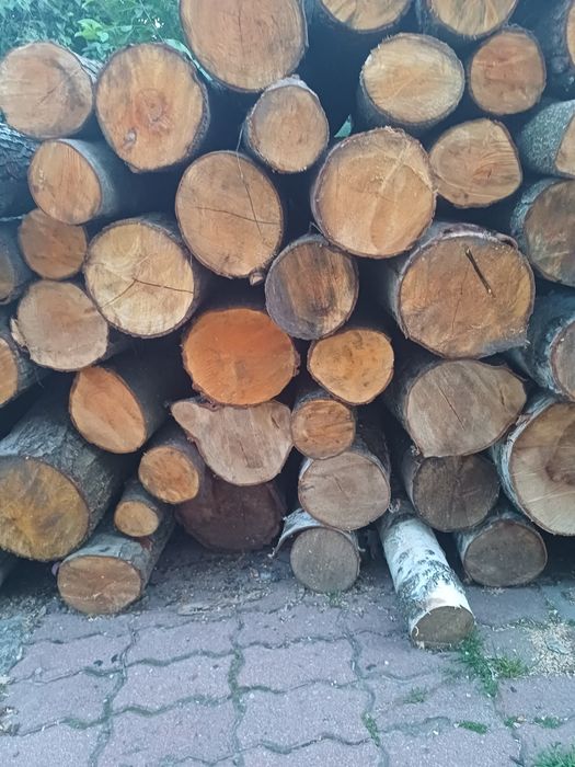 Drewno opałowe sosna i też gatunki liściaste