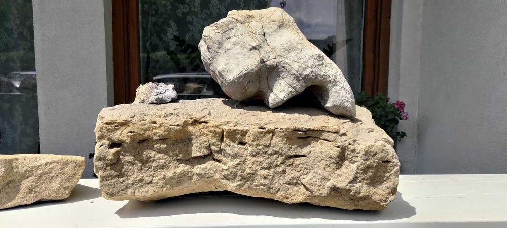 Kamienie do akwarium