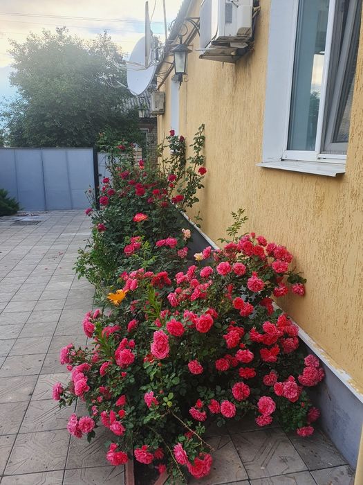 Продам дім в Ізюмі,з ремонтом,,90 кв.