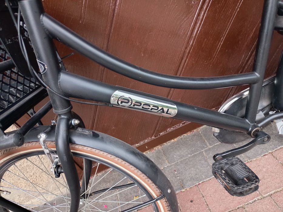 Rower Holenderski (p)popal