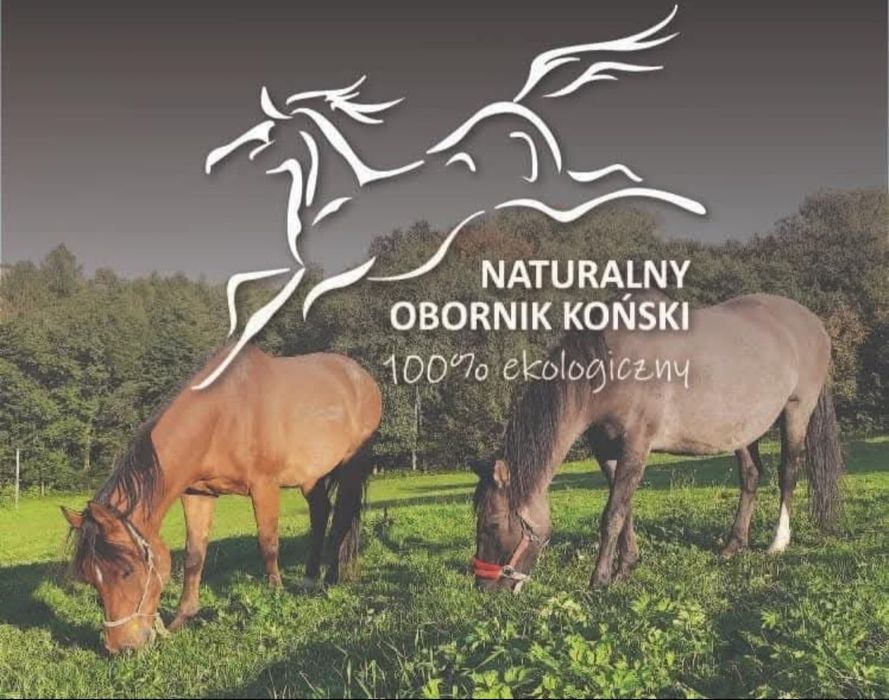 Obornik koński  eko