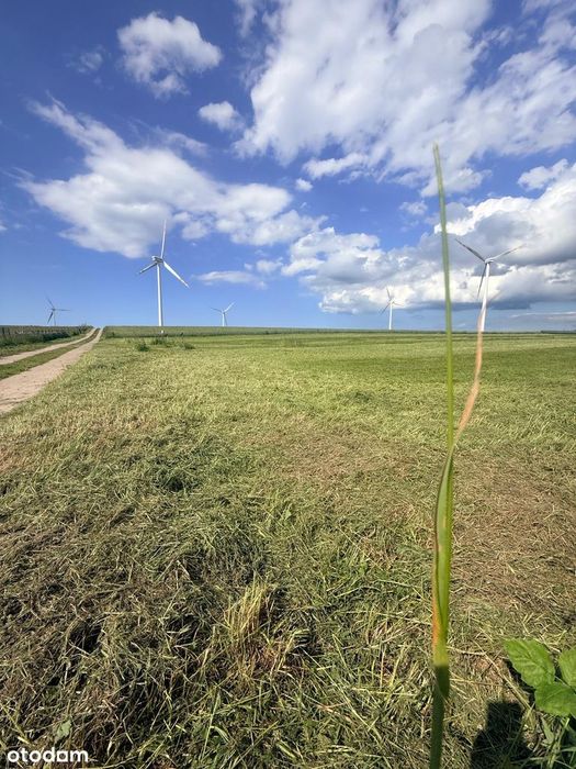 Działki nad morzem Darłówko Wschodnie