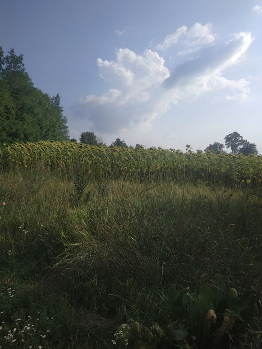 Продам будинок ЗдамОбмін