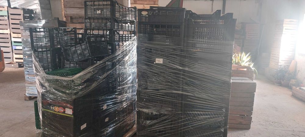 Skrzynki skrzyneczki plastikowe nie CASI