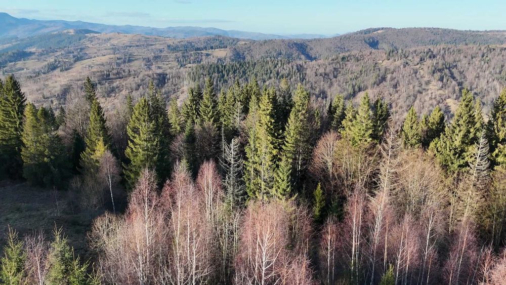 Земельна ділянка у Микуличині 0.76 га