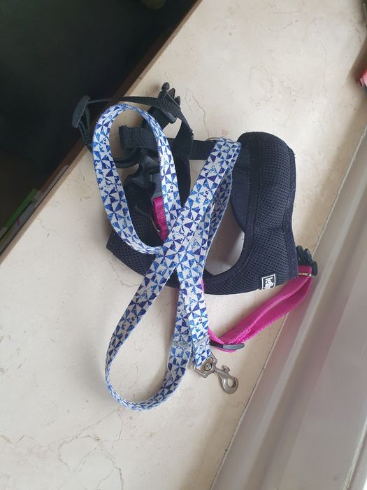 Sprzedam komplet szelki obroża i smycz dla psa