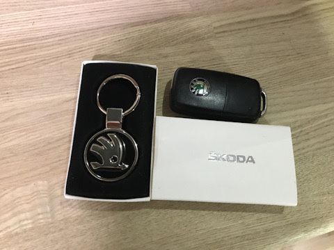 Брелок SKODA + жетон ORIGINAL