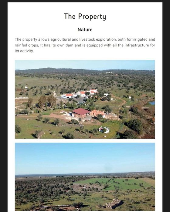 Herdade Alentejo com casa com piscina