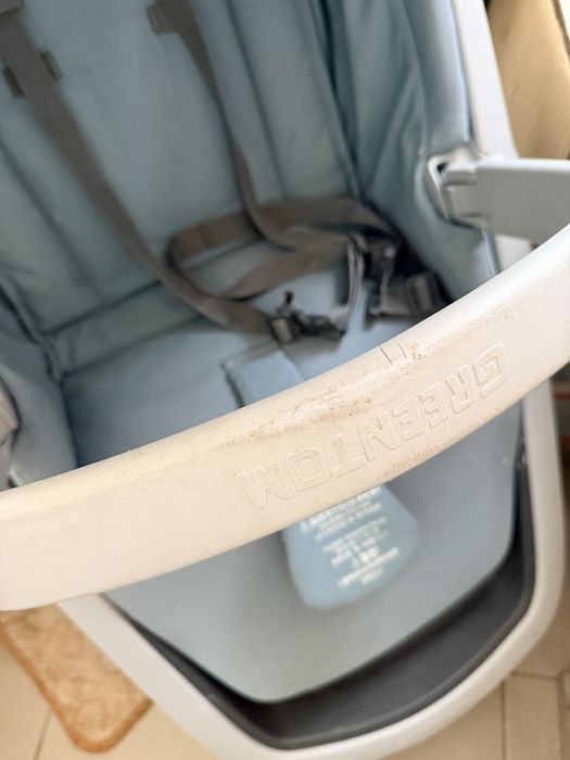 Коляска прогулянкова greentom