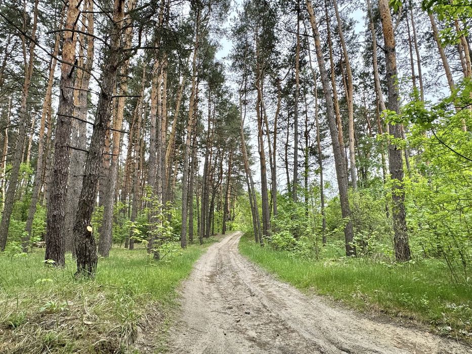 Земельні ділянки під садівництво! Вороньків!