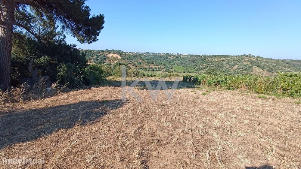 Terreno Rústico, plano, com vista desafogada em Vale do Paraíso, conce — Aveiras de Baixo, Lisboa