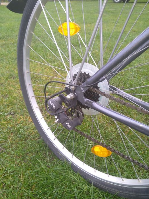 Rower Senator       .