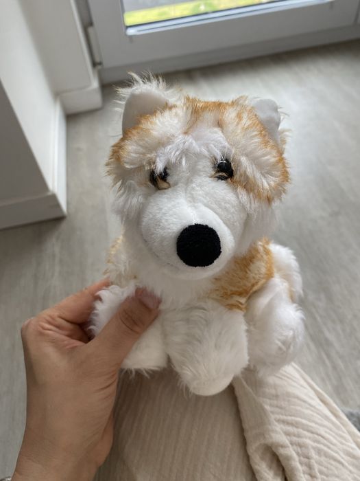 Pieski przytulanki 18 cm