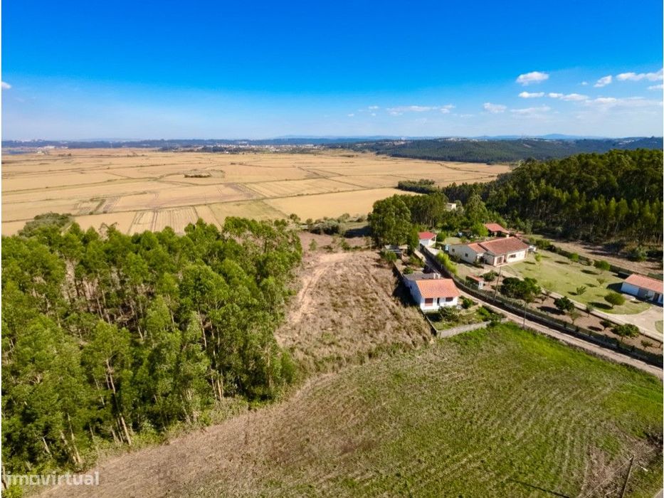 Terreno! Castela! Paião! Figueira da Foz — Lavos, Coimbra