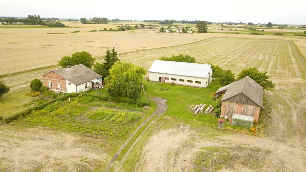 Siedlisko w Wakijowie - Widok 5