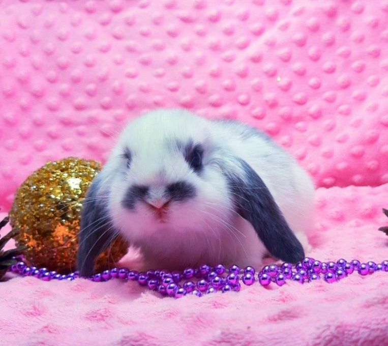 Ніжність у кожному русі!