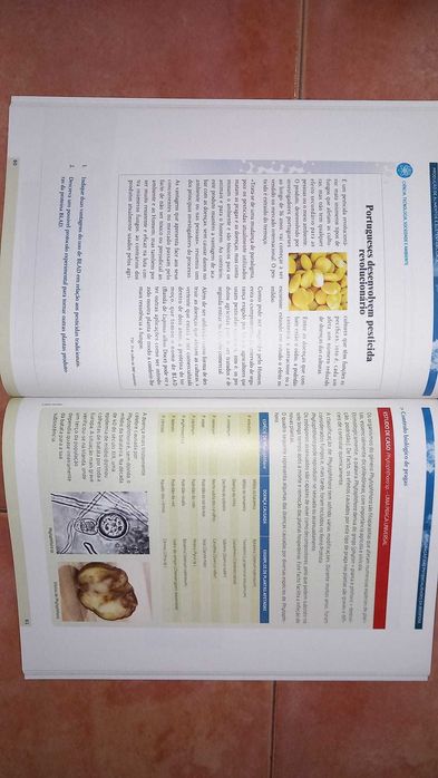 Manual de Biologia 12°ano