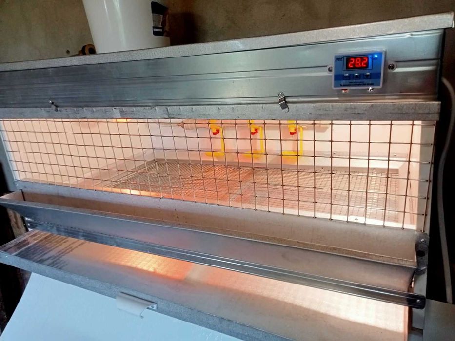 Скоби для з'єднання сітки оцинковані