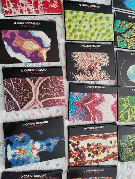O Corpo Humano em 15 volumes
