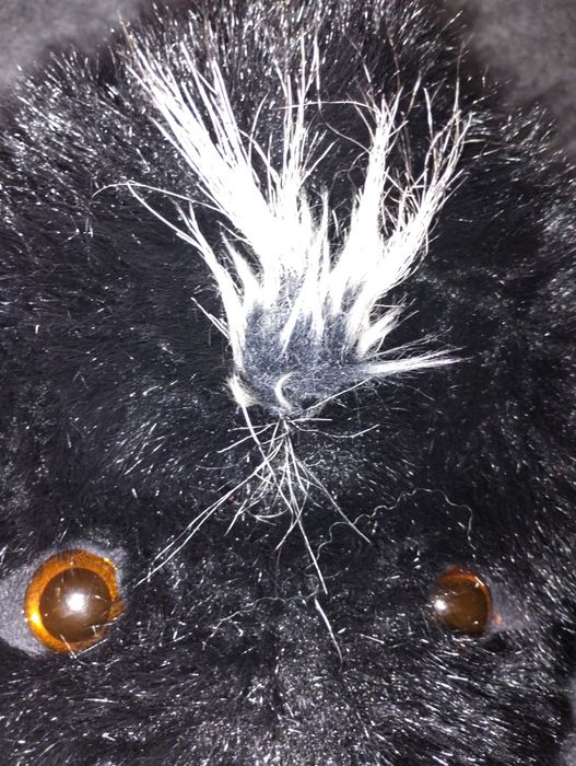 Карнавальная шапка "Черный буйвол"