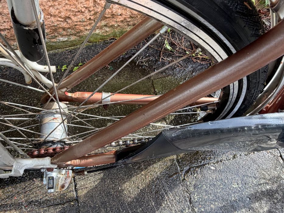 Rower typu Amsterdam z  swiatla dynamo + Shimano