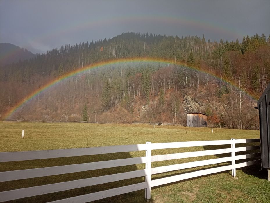 Оренда будинку в Карпатах