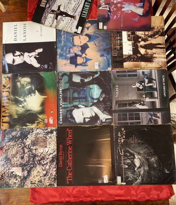 Vinis variados com qualidade