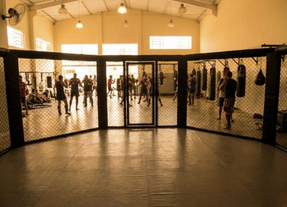 Klatka octagon MMA