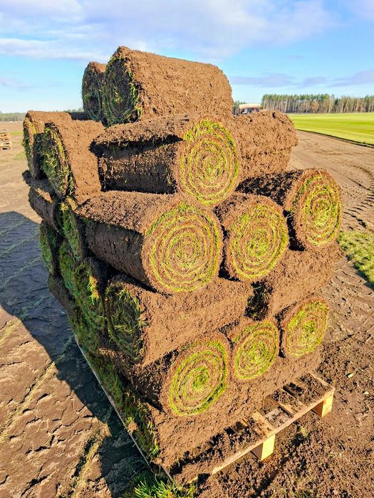 Trawa z rolki | Trawa rolowana