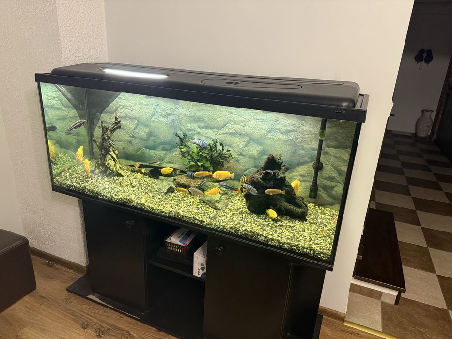 Akwarium 450L  cały zestaw