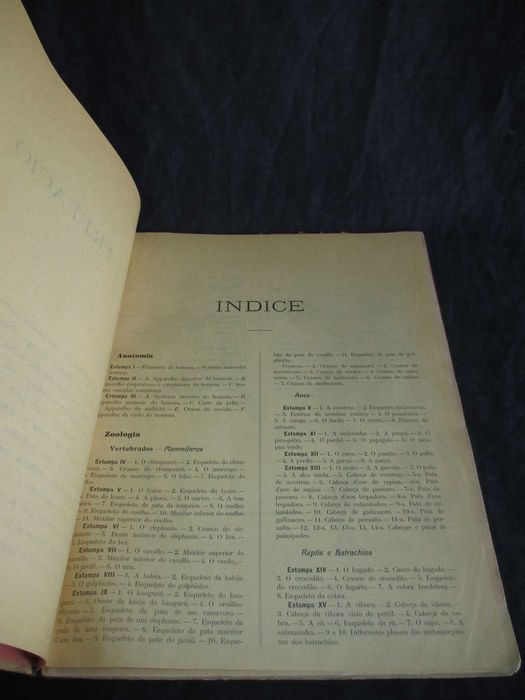Livro Atlas de Zoologia Baltazar Osório e Mattoso Santos