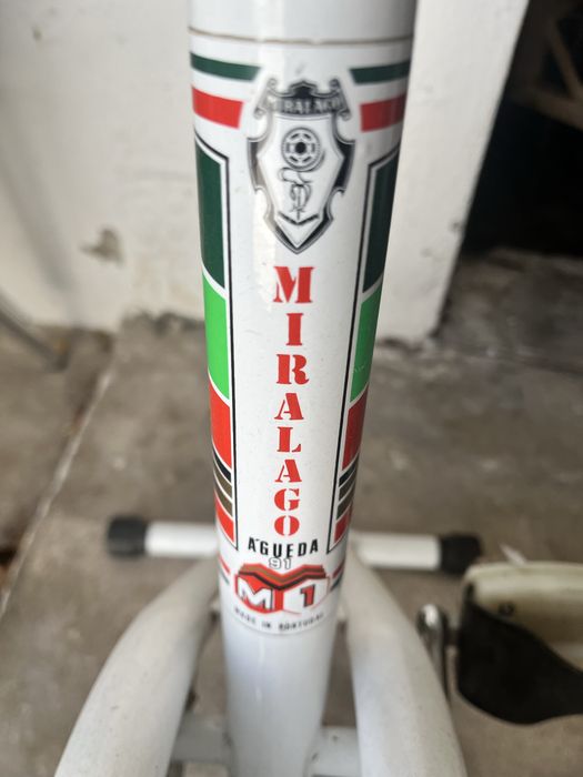 Bicicleta estatica Miralago