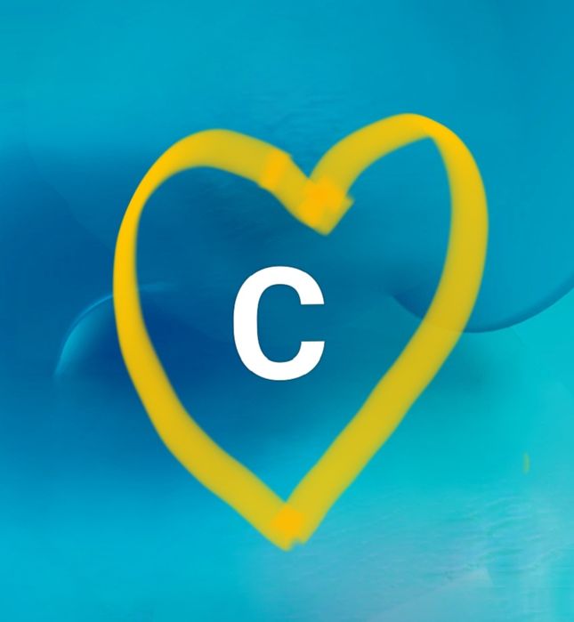 Cuidadora / Apoio Domiciliário