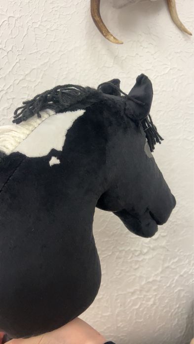 Hobby horse karo-srokaty