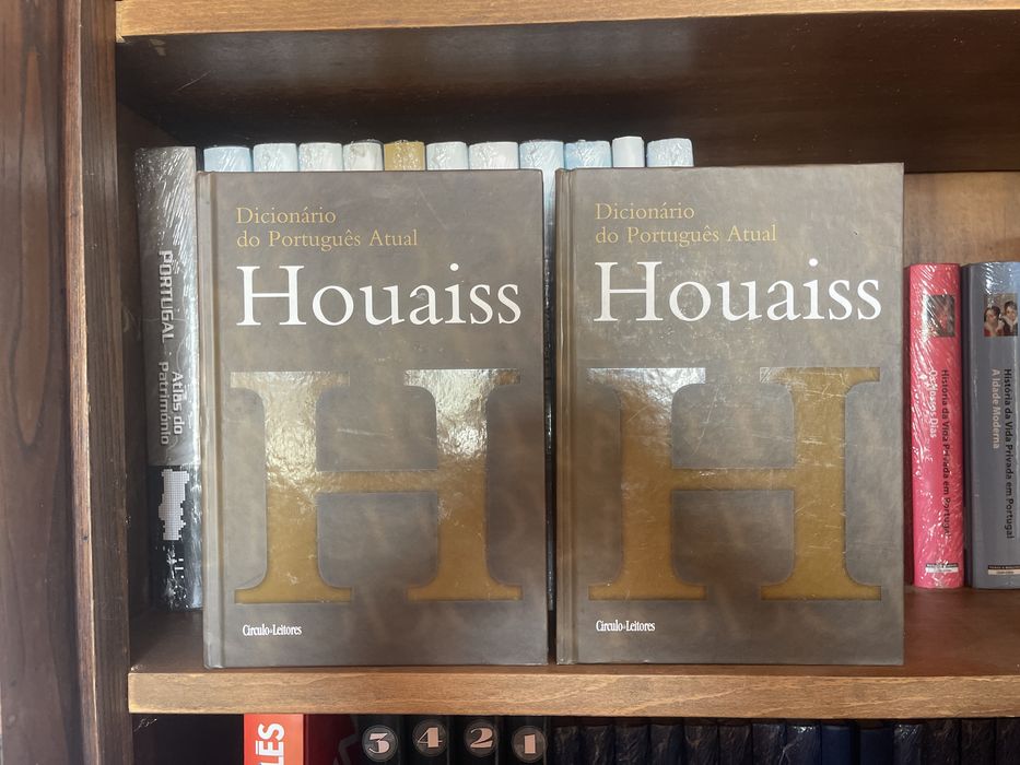 Livro Dicionário Português