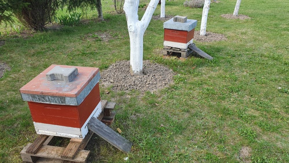 Ule wielkopolskie, segmentowe z pszczołami