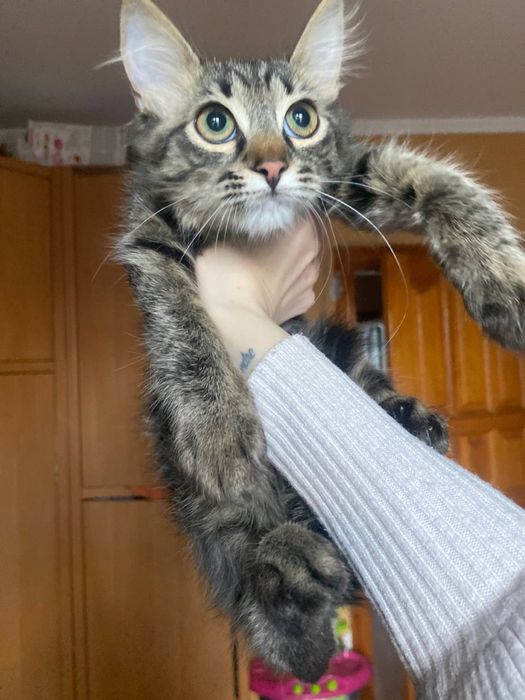 Спешите приобрести радость