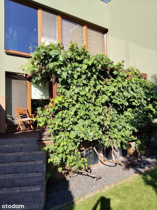 Bezczynszowe, z osobnym wejściem,ogrodem i garażem