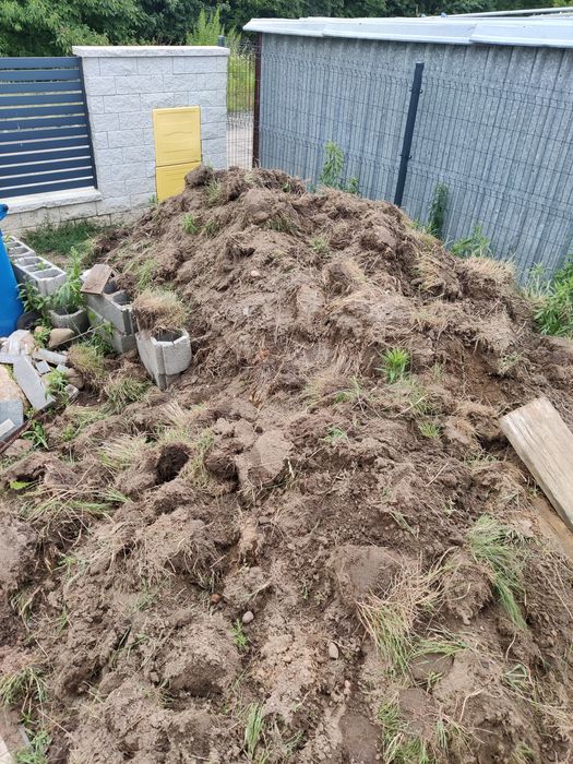 Oddam ziemię za darmo